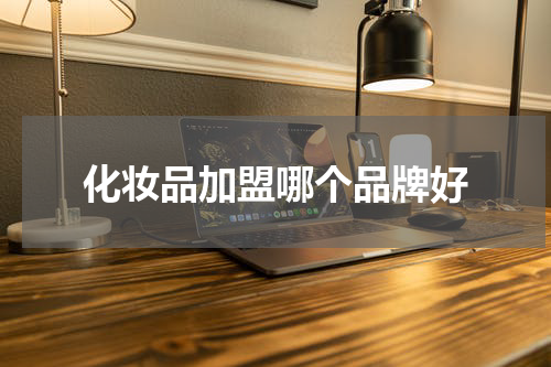 化妆品加盟哪个品牌好