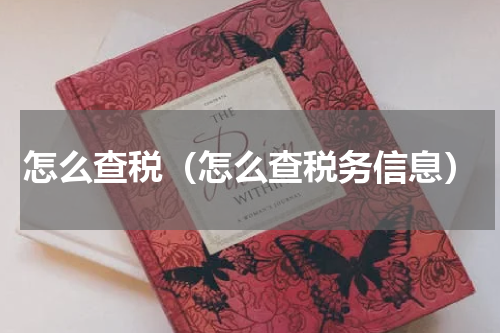 怎么查税（怎么查税务信息）