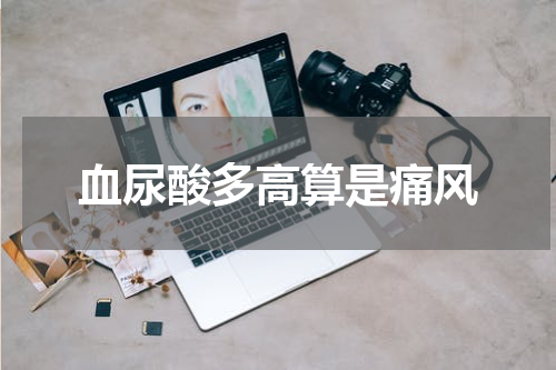 血尿酸多高算是痛风