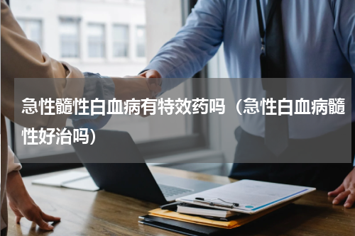 急性髓性白血病有特效药吗（急性白血病髓性好治吗）