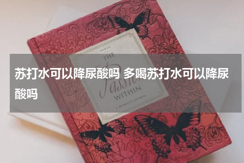 苏打水可以降尿酸吗 多喝苏打水可以降尿酸吗