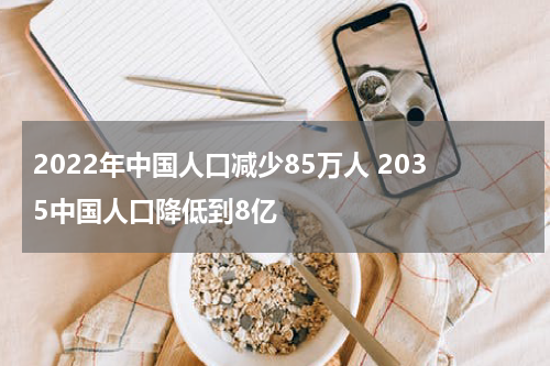 2022年中国人口减少85万人 2035中国人口降低到8亿