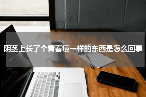 阴茎上长了个青春痘一样的东西是怎么回事