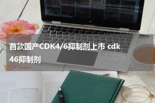 首款国产CDK4/6抑制剂上市 cdk46抑制剂