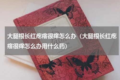 大腿根长红疙瘩很痒怎么办（大腿根长红疙瘩很痒怎么办用什么药）