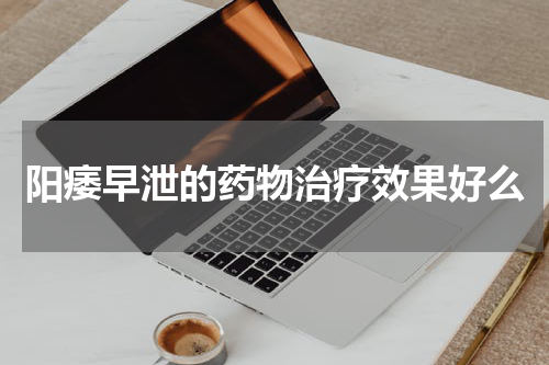 阳痿早泄的药物治疗效果好么