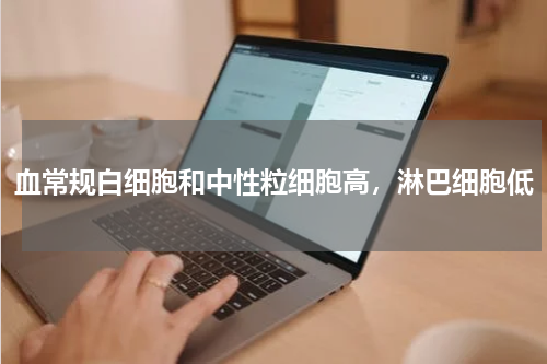 血常规白细胞和中性粒细胞高，淋巴细胞低