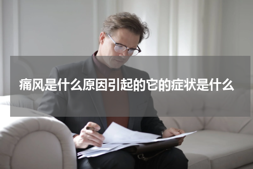 痛风是什么原因引起的它的症状是什么