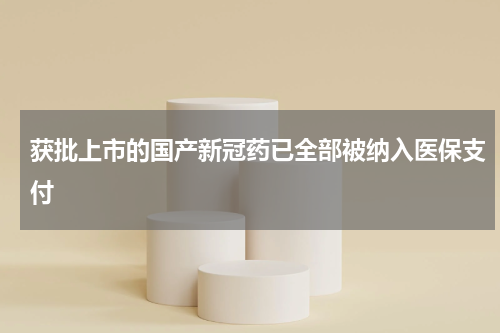 获批上市的国产新冠药已全部被纳入医保支付