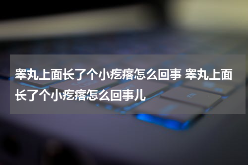 睾丸上面长了个小疙瘩怎么回事 睾丸上面长了个小疙瘩怎么回事儿