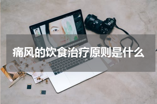 痛风的饮食治疗原则是什么
