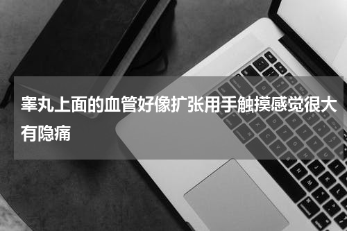 睾丸上面的血管好像扩张用手触摸感觉很大有隐痛