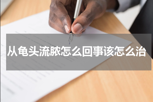 从龟头流脓怎么回事该怎么治