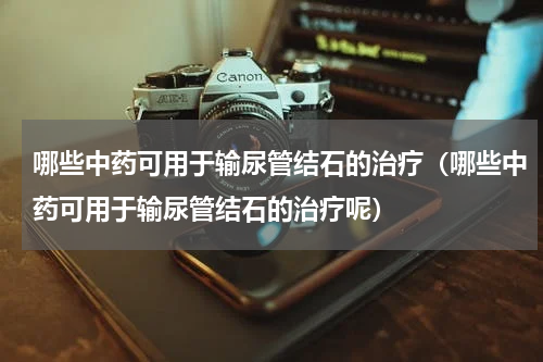 哪些中药可用于输尿管结石的治疗（哪些中药可用于输尿管结石的治疗呢）