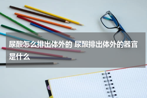 尿酸怎么排出体外的 尿酸排出体外的器官是什么