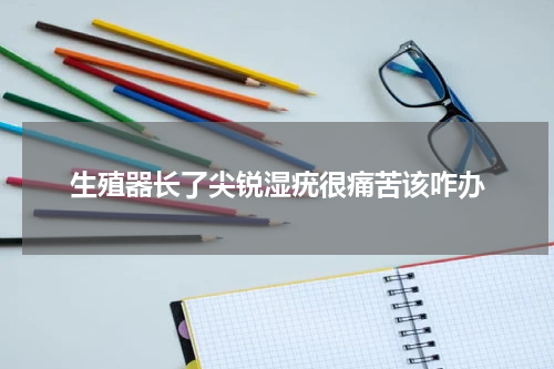 生殖器长了尖锐湿疣很痛苦该咋办