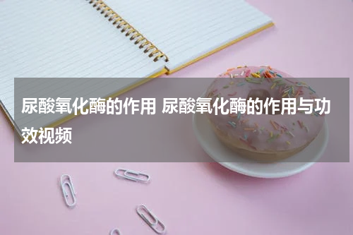 尿酸氧化酶的作用 尿酸氧化酶的作用与功效视频