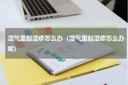 湿气重起湿疹怎么办（湿气重起湿疹怎么办呢）