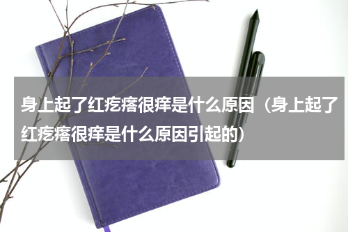 身上起了红疙瘩很痒是什么原因（身上起了红疙瘩很痒是什么原因引起的）