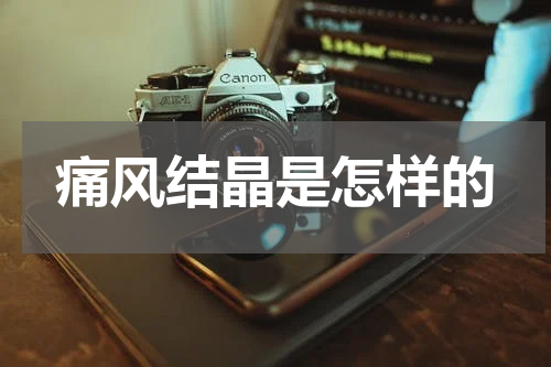 痛风结晶是怎样的