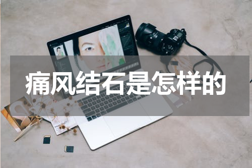 痛风结石是怎样的