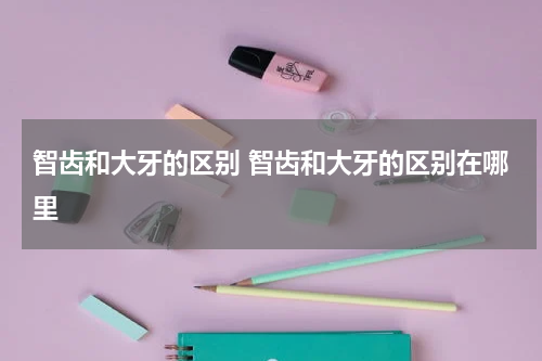 智齿和大牙的区别 智齿和大牙的区别在哪里