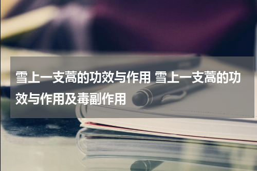 雪上一支蒿的功效与作用 雪上一支蒿的功效与作用及毒副作用