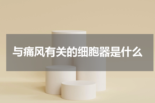 与痛风有关的细胞器是什么