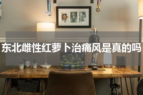 东北雌性红萝卜治痛风是真的吗