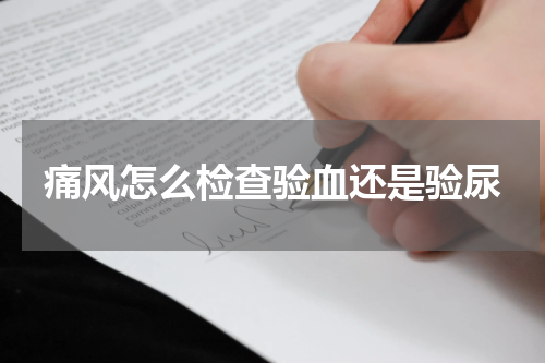 痛风怎么检查验血还是验尿