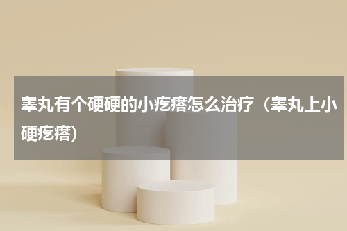 睾丸有个硬硬的小疙瘩怎么治疗（睾丸上小硬疙瘩）