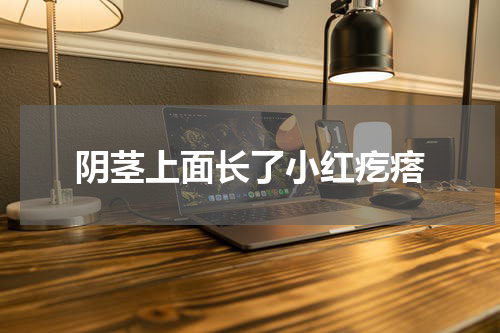 阴茎上面长了小红疙瘩