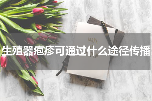 生殖器疱疹可通过什么途径传播