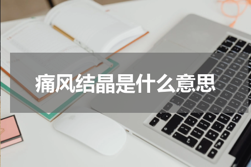 痛风结晶是什么意思