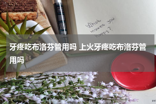 牙疼吃布洛芬管用吗 上火牙疼吃布洛芬管用吗