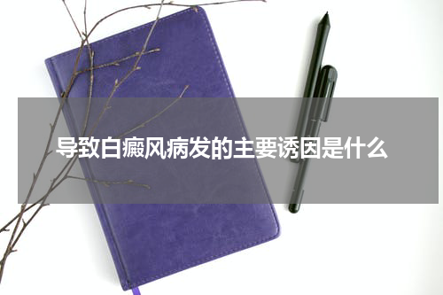 导致白癜风病发的主要诱因是什么