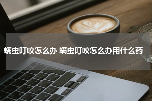 螨虫叮咬怎么办 螨虫叮咬怎么办用什么药