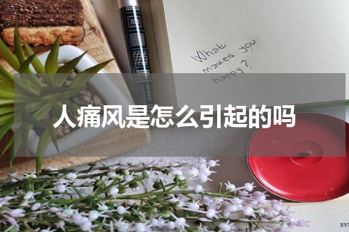 人痛风是怎么引起的吗