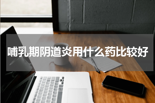 哺乳期阴道炎用什么药比较好