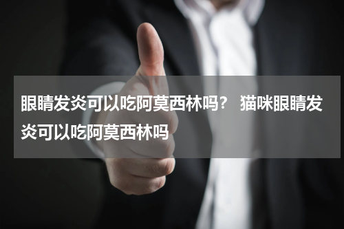眼睛发炎可以吃阿莫西林吗？ 猫咪眼睛发炎可以吃阿莫西林吗