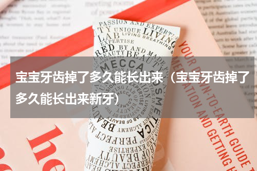 宝宝牙齿掉了多久能长出来（宝宝牙齿掉了多久能长出来新牙）
