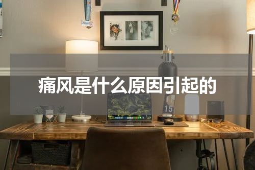痛风是什么原因引起的