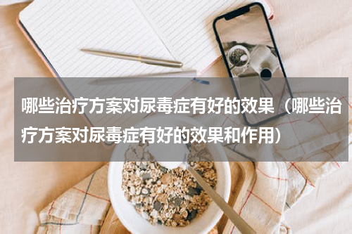 哪些治疗方案对尿毒症有好的效果（哪些治疗方案对尿毒症有好的效果和作用）