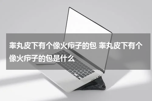 睾丸皮下有个像火疖子的包 睾丸皮下有个像火疖子的包是什么