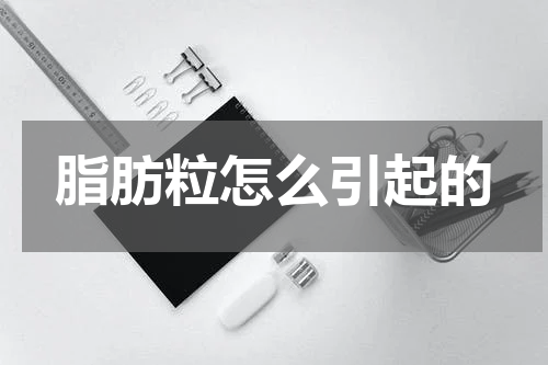 脂肪粒怎么引起的