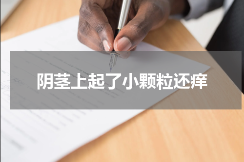 阴茎上起了小颗粒还痒