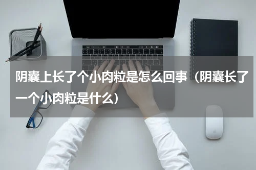 阴囊上长了个小肉粒是怎么回事（阴囊长了一个小肉粒是什么）