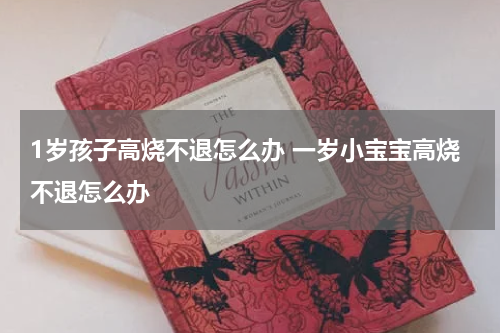 1岁孩子高烧不退怎么办 一岁小宝宝高烧不退怎么办