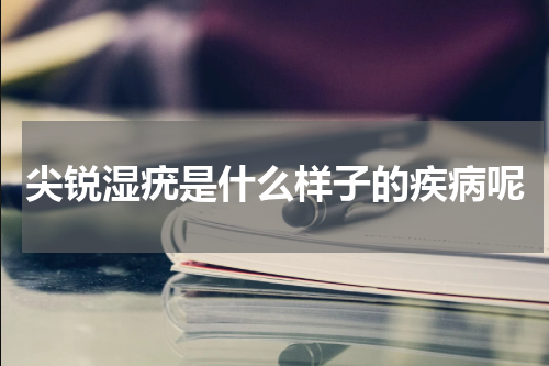 尖锐湿疣是什么样子的疾病呢