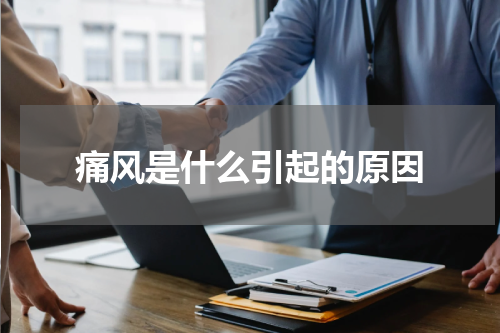 痛风是什么引起的原因